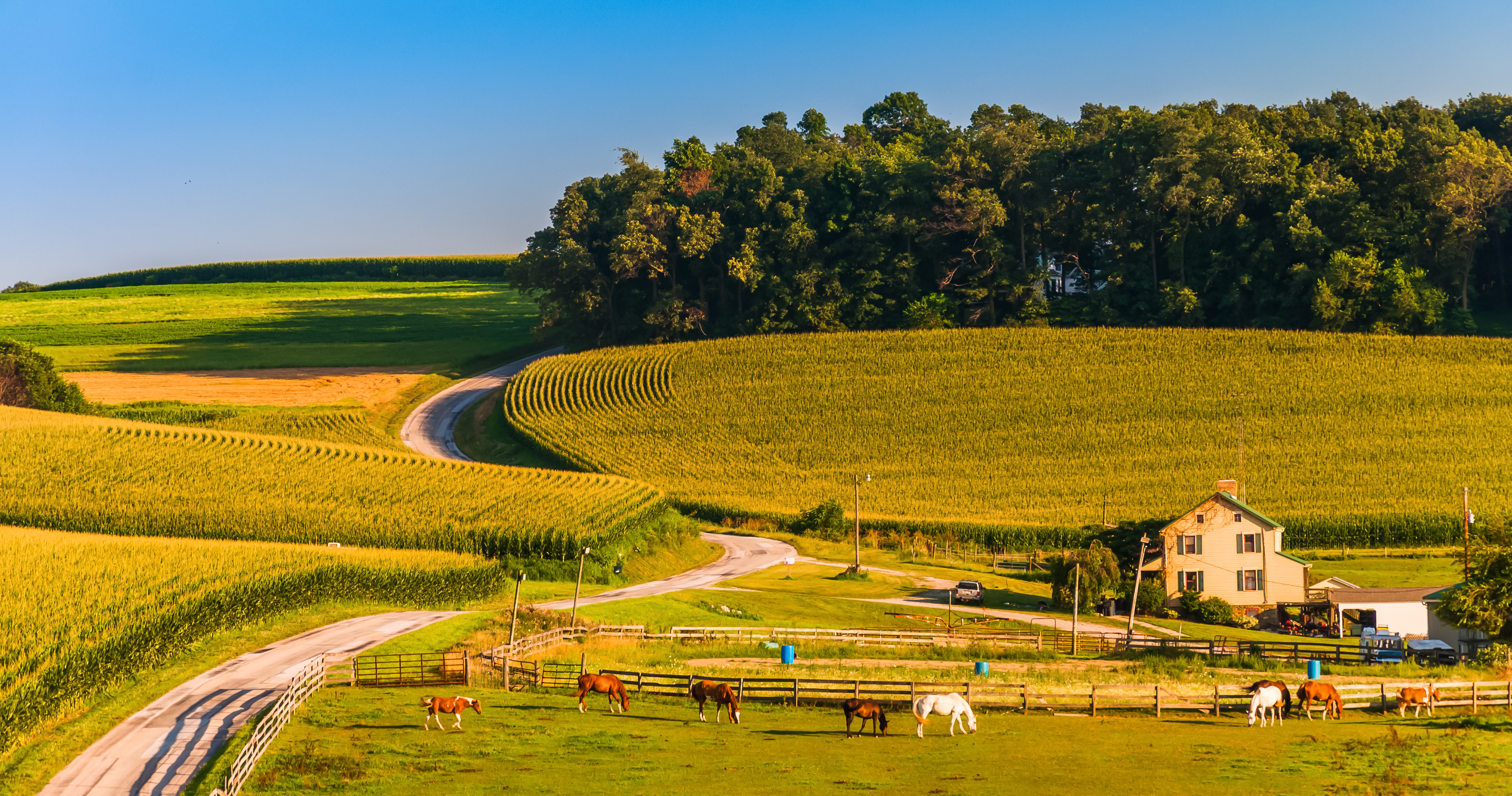 Rural community member in need of healthcare connectivity